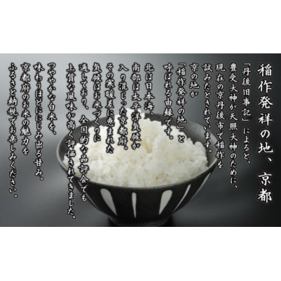 【期間限定】令和7年産 米 ひとめぼれ 5kg 京都府久御山町 大人気のお米(精米)5キロをお届け