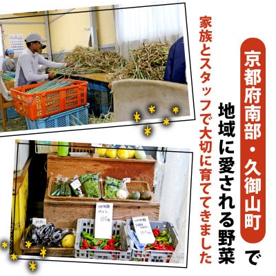 京都 朝採れ 冬野菜セット 6～8種【配送不可地域：離島】