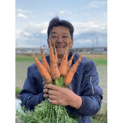 京都府久御山町産　おまかせ 季節の野菜 詰め合わせセット 4～8品