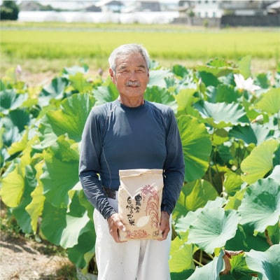 令和7年産ひとめぼれ計10kg　京都府久御山町 大人気のお米(精米)をお届け