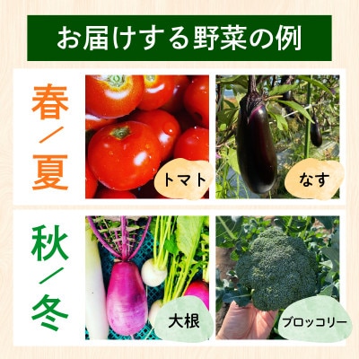 【毎月定期便】【訳あり】季節の野菜セット4～6品　京都府久御山町産全6回【配送不可地域：離島】