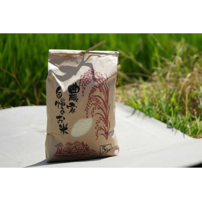 【期間限定】令和7年産 米 ひとめぼれ 5kg 京都府久御山町 大人気のお米(精米)5キロをお届け