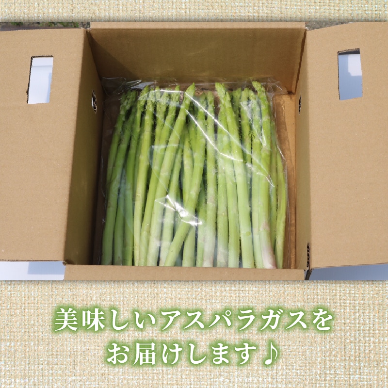 【先行受付】2026年産 数量限定 アスパラガス 1kg L～2Lサイズ 京都府久御山町産 朝採り【配送不可地域：離島】