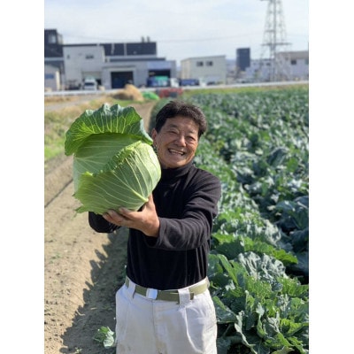 京都府久御山町産　おまかせ 季節の野菜 詰め合わせセット 4～8品