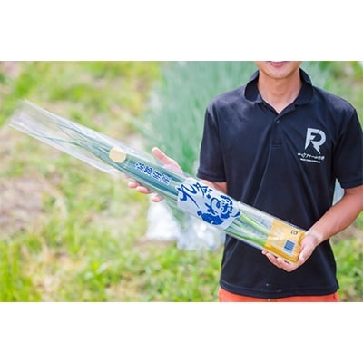 京都府産 【九条ねぎ】3kg【配送不可地域：離島・北海道・沖縄県・東北・九州】