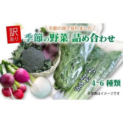 【訳あり】季節の野菜セット4～6品　京都府久御山町産【配送不可地域：離島】