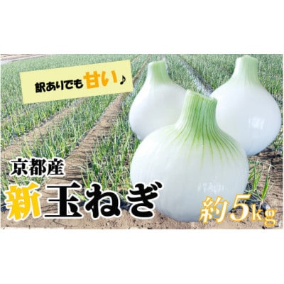 【訳アリ】たまねぎ 5kg　京都府久御山町産