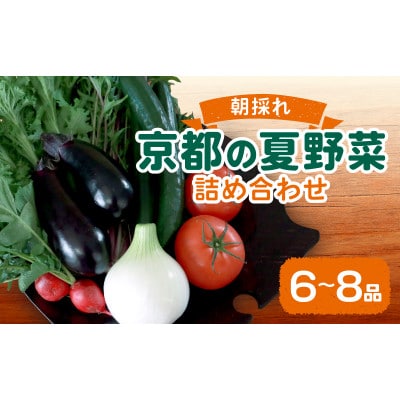 夏野菜 6～8種 セット　京都府久御山町【配送不可地域：離島】