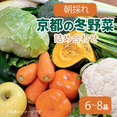 京都 朝採れ 冬野菜セット 6～8種【配送不可地域：離島】