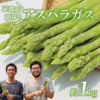 【先行受付】2026年産 数量限定 アスパラガス 1kg L～2Lサイズ 京都府久御山町産 朝採り【配送不可地域：離島】
