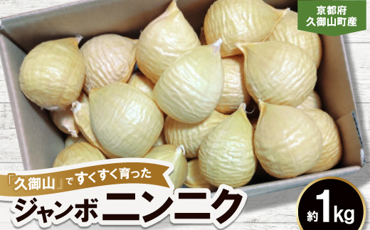 ジャンボニンニク　約1kg