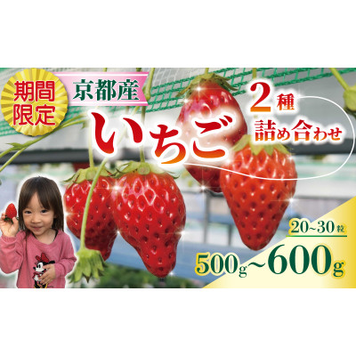 いちご 紅ほっぺ・章姫(2種合計 約500-600g) 1箱【配送不可地域：離島・北海道・沖縄県・東北】