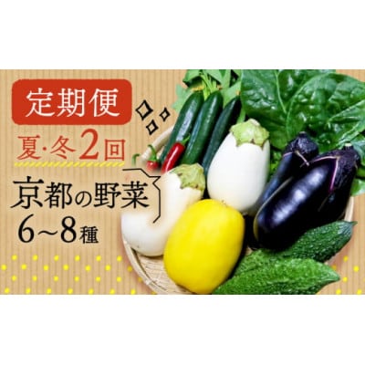 【発送月固定定期便】夏冬の野菜6～8種セット全2回【配送不可地域：離島・北海道・沖縄県】
