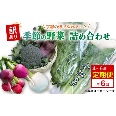 【毎月定期便】【訳あり】季節の野菜セット4～6品　京都府久御山町産全6回【配送不可地域：離島】