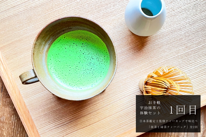 ティーカップで味比べ「抹茶と緑茶ティーバッグ」日本茶鑑定士監修【全2回】〈定期便 お茶 緑茶 煎茶 宇治抹茶 抹茶 ティーバッグ 玉露 かぶせ茶 ティーカップ ティーパック 初心者 飲料 加工食品〉