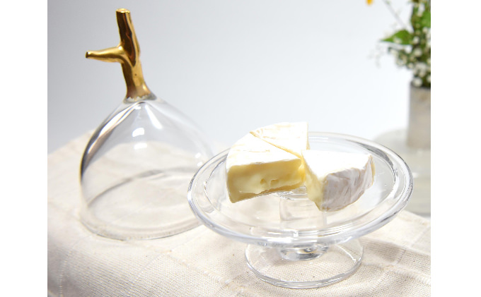 Ｇｌａｓｓ　ｄｏｍｅ　－Ｍ－