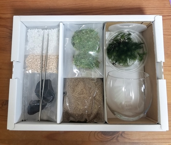 コケテラリウム手作りセット（径8ｃｍ×高さ8cm）〈コケ 苔 こけ 植物 初心者 インテリア 手作り セット キッド 雑貨 日用品〉