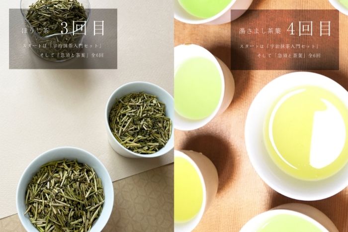 スタートは「宇治抹茶入門セット」そして「急須と茶葉」全6回〈定期便 宇治抹茶 抹茶 お茶 茶 薄茶 濃茶 茶道 初心者 石臼挽き 飲料 加工食品〉