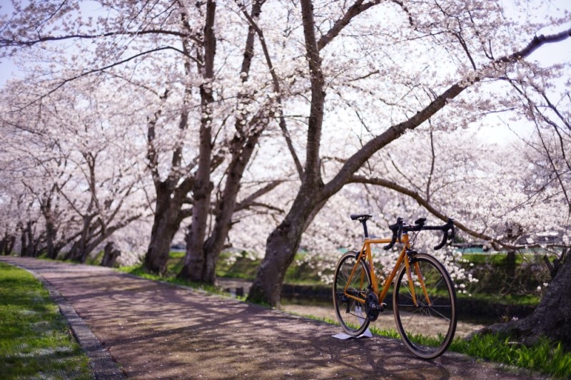 和尚のガイドで巡る自転車ツアー「ディープな京都・宇治田原」2名様分【緑茶発祥の地／kyotoのまち】