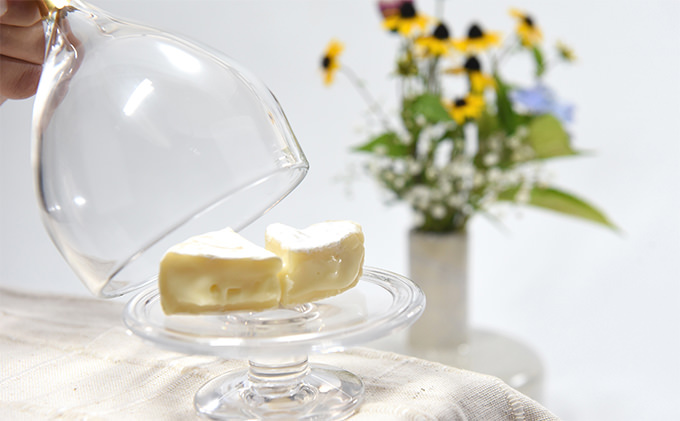 Ｇｌａｓｓ　ｄｏｍｅ　－Ｓ－