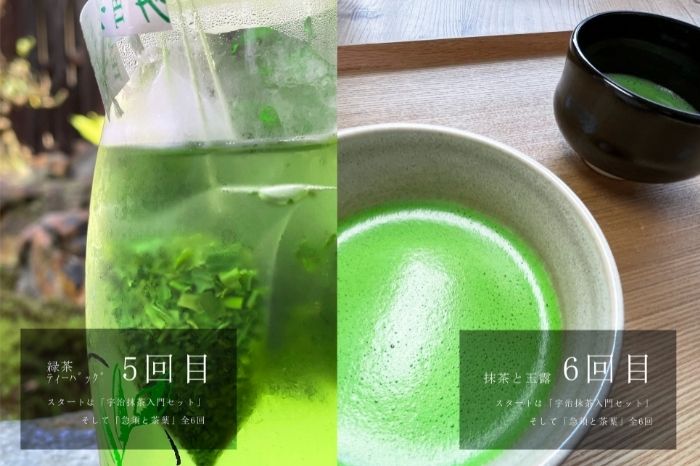 スタートは「宇治抹茶入門セット」そして「急須と茶葉」全6回〈定期便 宇治抹茶 抹茶 お茶 茶 薄茶 濃茶 茶道 初心者 石臼挽き 飲料 加工食品〉