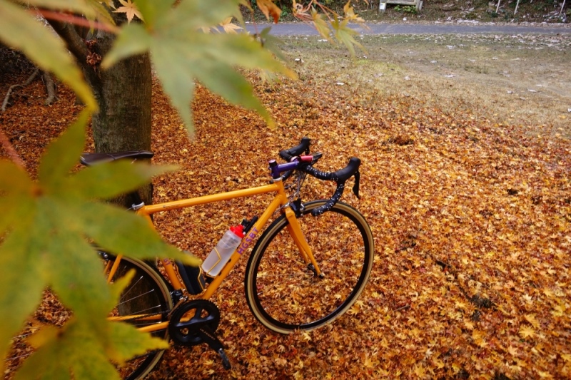 和尚のガイドで巡る自転車ツアー「ディープな京都・宇治田原」2名様分【緑茶発祥の地／kyotoのまち】