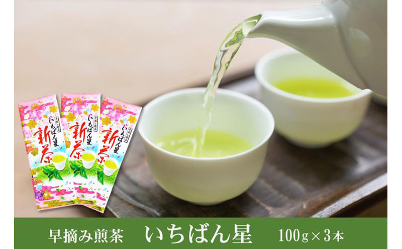 早摘み煎茶いちばん星100ｇ入×3本　宇治茶の木谷製茶場　〈 煎茶 お茶 茶 緑茶 新茶 茶葉 お茶葉 早摘み いちばん星 宇治 〉