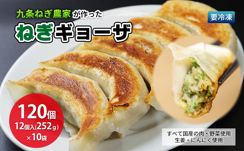 九条ねぎ農家が作ったねぎギョウザ（12個入×10袋） 〈 ぎょうざ 餃子 ギョーザ 九条ねぎ 京野菜 冷凍 冷凍餃子 惣菜 国産豚肉 おかず つまみ 夕飯 晩御飯 手軽 便利 〉