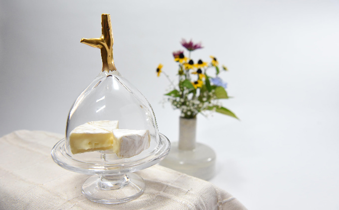 Ｇｌａｓｓ　ｄｏｍｅ　－Ｍ－