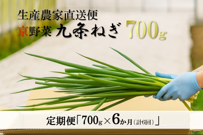【6か月定期便】生産農家直送 京野菜・九条ねぎ700ｇ〈定期便 ねぎ ネギ 葱 九条ねぎ 京野菜 京都 新鮮 甘い 農家直送 野菜〉 京都府産 薬味 料理 食材 半年