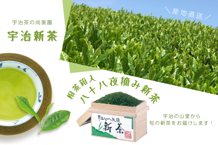 桐茶箱入り八十八夜摘み新茶(250ｇ×2袋)〈新茶 お茶 茶 緑茶 煎茶 茶葉 八十八夜 宇治茶 桐箱 飲料 日本茶 縁起物 加工食品〉