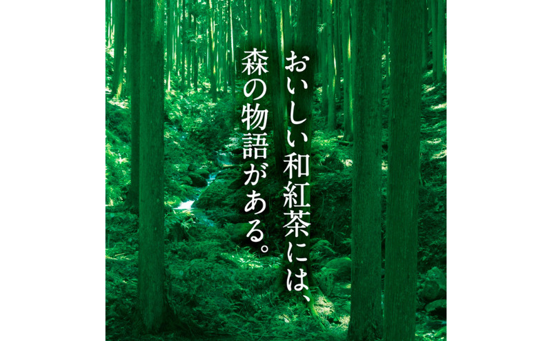 森からの和紅茶　はじまり（20袋入）2個組〈紅茶 お茶 茶 茶葉 和紅茶ティーバッグ 飲料〉			
