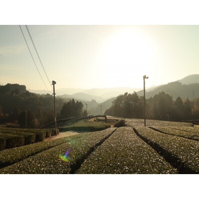 【京都・和束町・郷土料理】和束名物の茶そば＆奈良の郷土料理を作ろう。和束セット　4名×1回