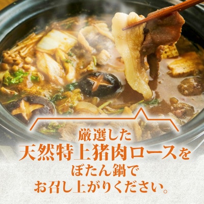 ぼたん鍋セット 特上猪肉ロース 600g 特製猪鍋みそ付き【配送不可地域：離島】