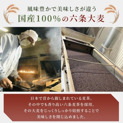業務用ティーバッグ (国産麦茶JP)