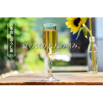 【夏を涼しく!】和束産 水出しほうじ茶5種飲み比べセット(30g×5種)