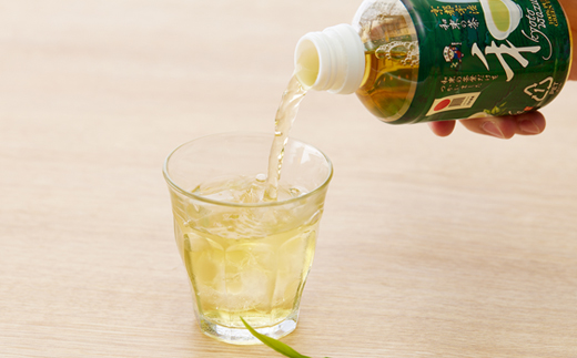 和束の茶(280ml×24本)