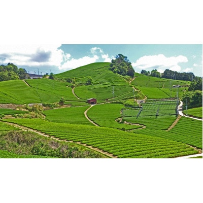 【新茶・令和8年度産】和束茶ギフトセット(竹) 　煎茶、かりがね　(2026年6月中旬以降発送分)