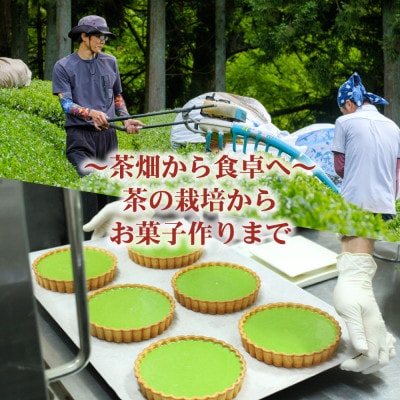 和束産自家栽培茶の濃厚抹茶＆ほうじ茶チーズケーキ食べ比べセット《ギフト好適》【配送不可地域：離島】