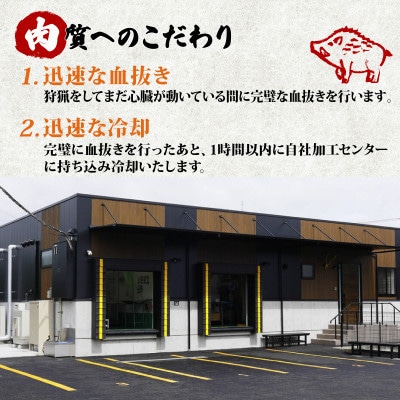 ぼたん鍋セット (特選猪肉300g+つくね10個+特製猪鍋みそ付き)【配送不可地域：離島】