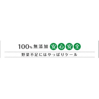 根強い人気を誇る【京都産ケール100%】ケール青汁2個セット