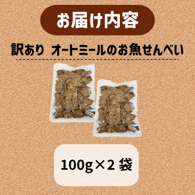 【ペット用】BariShBarih訳ありオートミールのお魚せんべい2種 200g (100g×2袋)