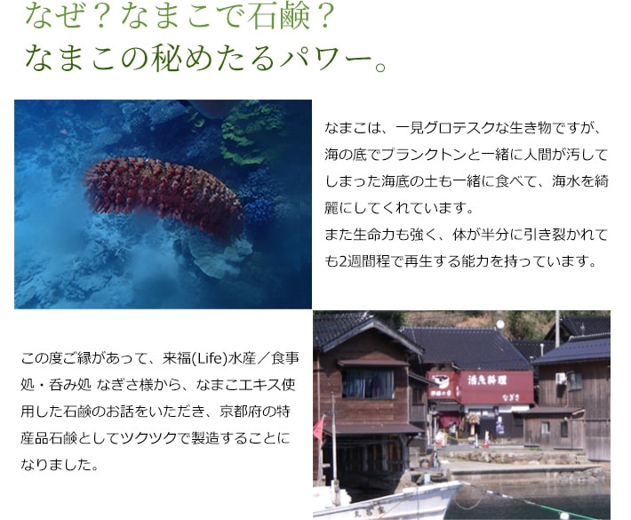 京都産なまこの石けん　namakko soap