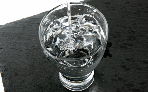 洛いも焼酎「精華の夢」light白＆黒500mlセット(ふるさと納税オリジナルイラスト)