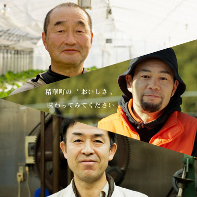 抹茶パフェ大福・パフェ大福セット 計6個 (各3個)【配送不可地域：離島】