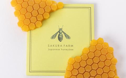 畑のはちみつ500g