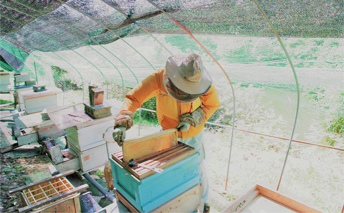 【新登場！】～京都府南山城村産～中下おじちゃんの愛情詰まった天然ハチミツ200g(非加熱）