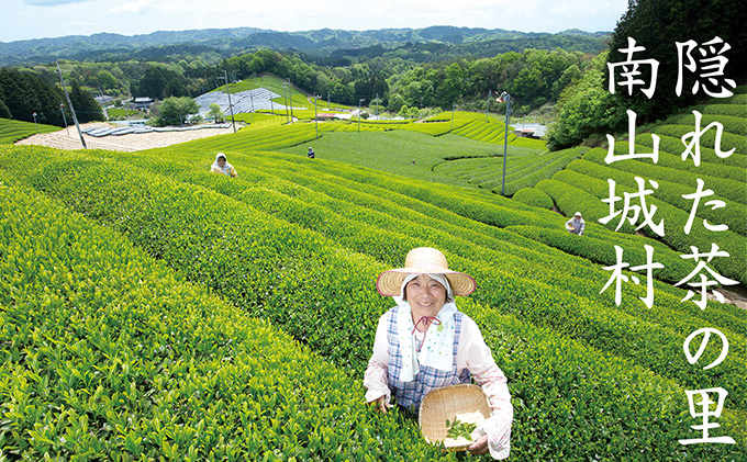 【宇治抹茶スイーツ】抹茶の味がしっかりと味わえる　むらちゃアイス抹茶12個セット