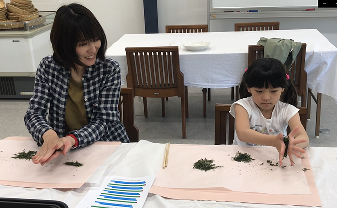 【体験期間：6月末まで】茶摘み+製茶体験1名（大人料金）