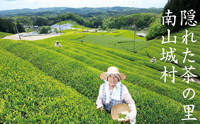 【宇治抹茶スイーツ】抹茶の味がしっかりと味わえる　む